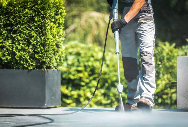 Best Roof Cleaning and Mildew Removal in Lake City, MN