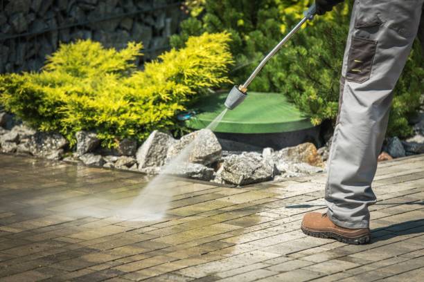 Best Vinyl Siding Pressure Washing in Lake City, MN
