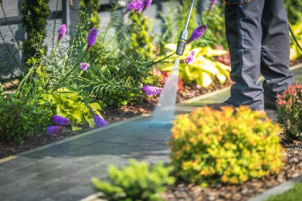 Best Commercial Pressure Washing in Lake City, MN