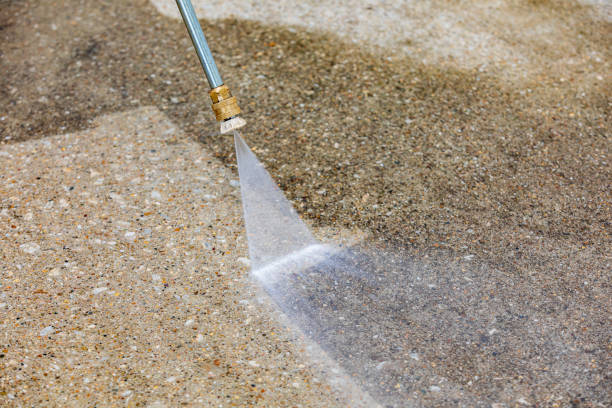 Best Gutter Cleaning and Brightening in Lake City, MN