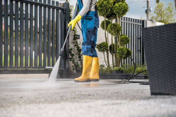 Best Window and Screen Pressure Cleaning in Lake City, MN