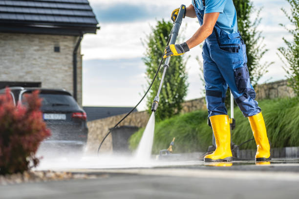 Best Soft Washing for Delicate Surfaces in Lake City, MN